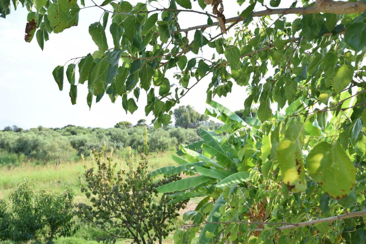 Appartamento Ktima Βilioni Zacharo Esterno foto